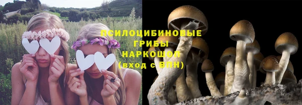 соль курить ск Алексин