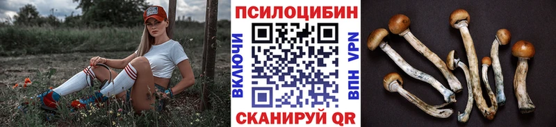 Галлюциногенные грибы Psilocybine cubensis  Дзержинский 
